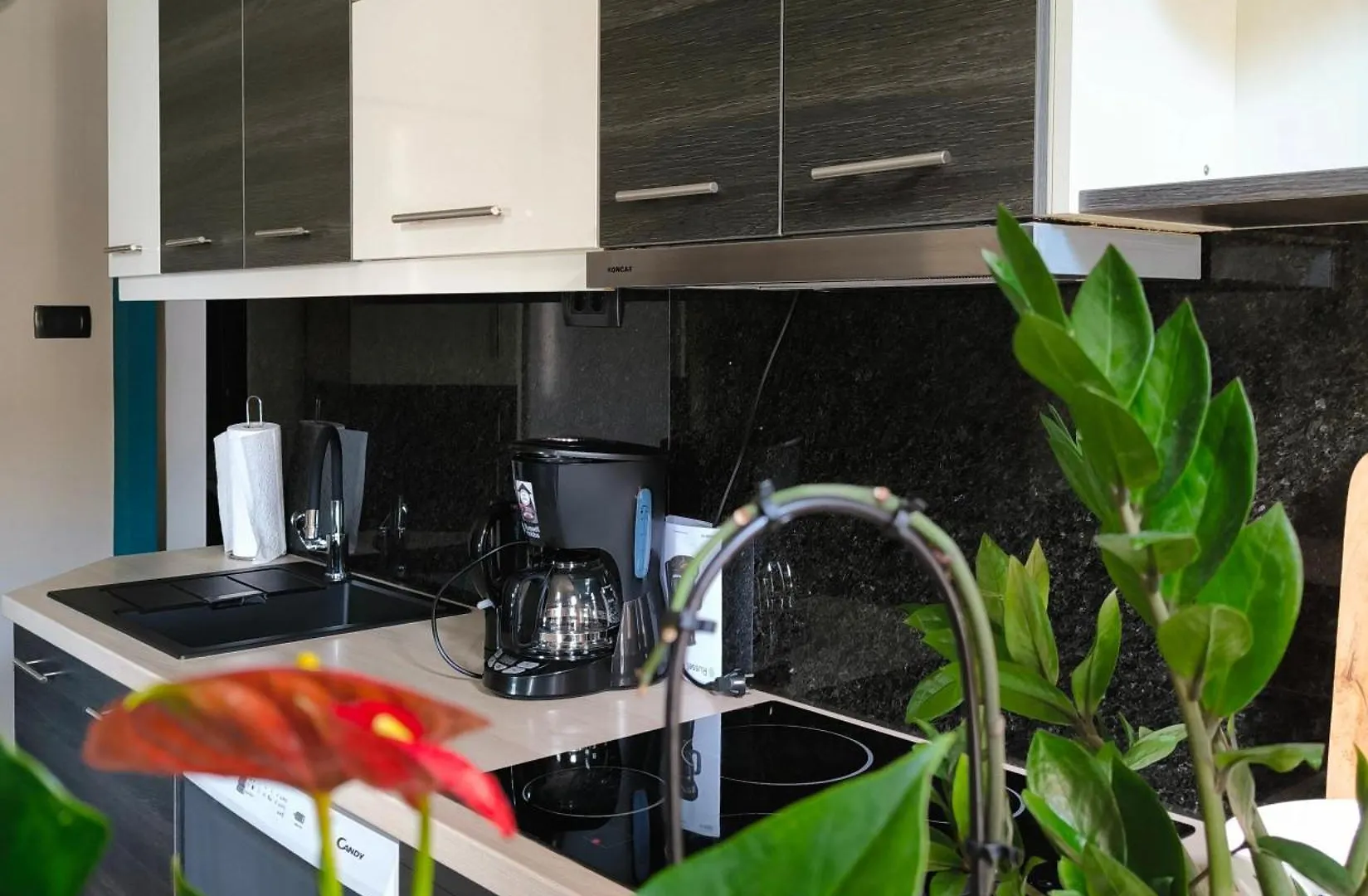 Urban Villa Apartment オパティヤ